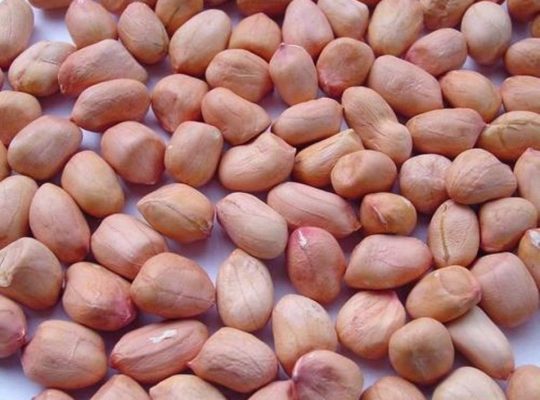 Nzungu Peanuts for sale