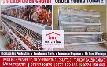Chicken Layer Cages