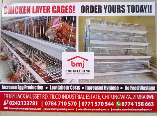 Chicken Layer Cages