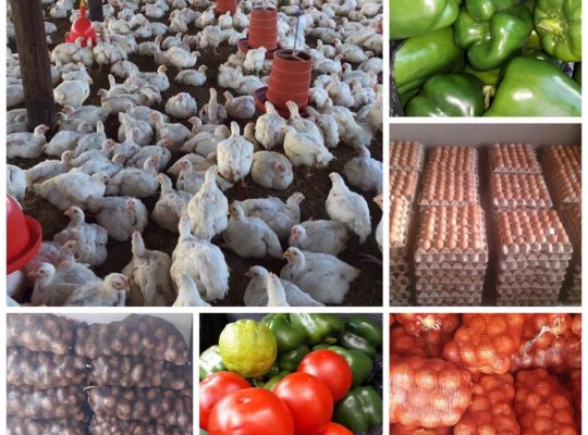 Farm Produce On Sale