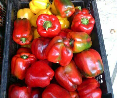 Fresh Vegetables & Fruits for sale