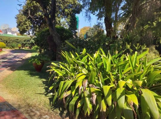 House for sale in Milton Park