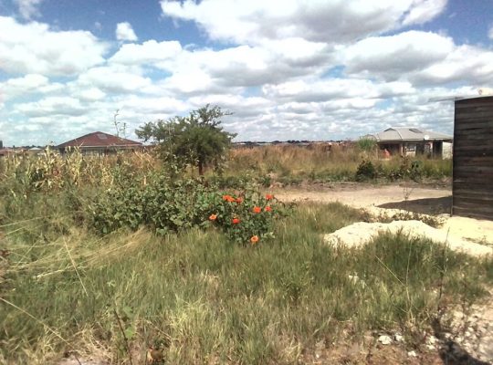 Southview Stand for sale