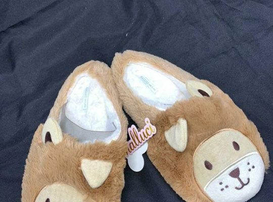 Ladies morning shoes