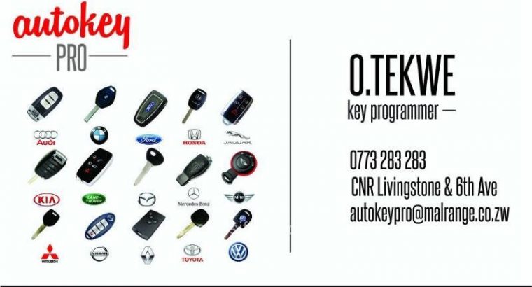 Car key programming