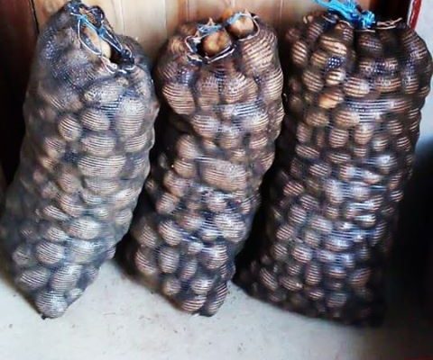 20kg Potatoes for sale