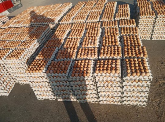 Eggs for sale