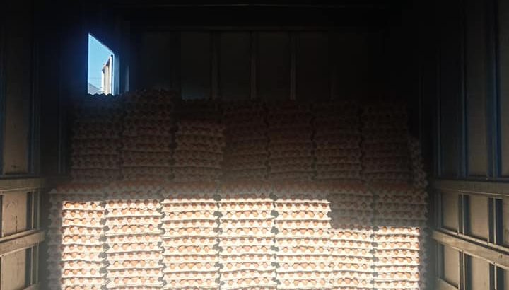 Eggs for sale