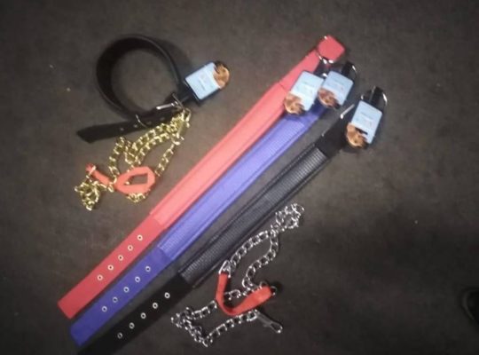 Dog chains, Dog collars