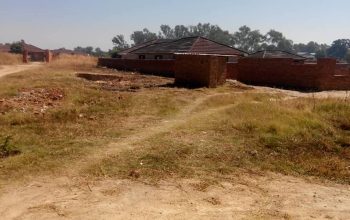 Msasa Park Residential stand