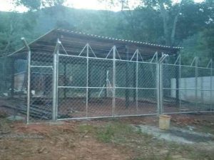 TRACK FENCING SERVICES