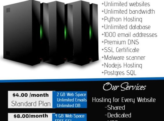 Professional Web hosting