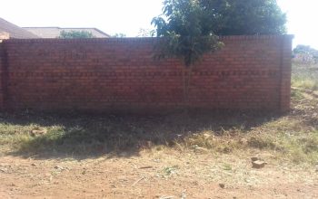 Granary/Snake Park – Residential