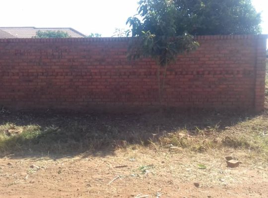 Granary/Snake Park – Residential