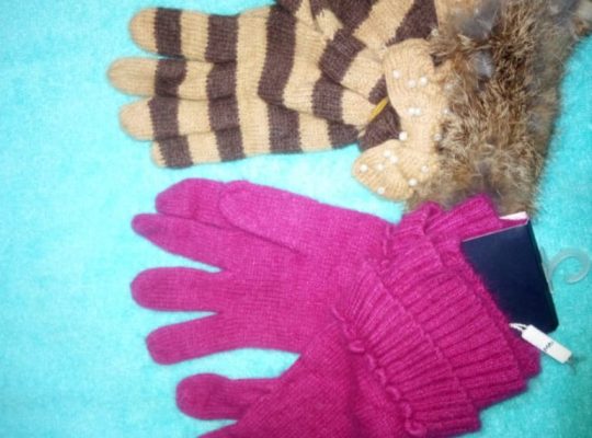 Winter Gloves