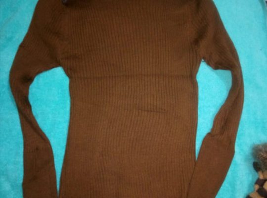 Ladies Winter Polo Necks