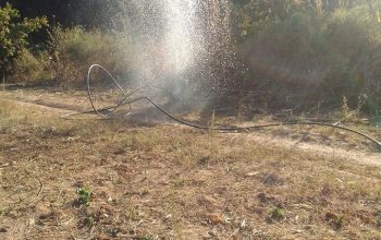 Glenlorne Stand for Sale