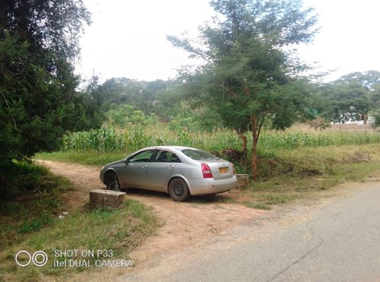 Glenlorne Stand for Sale