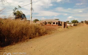 Gletwyn Stands for Sale