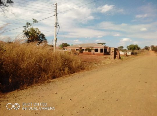 Gletwyn Stands for Sale