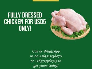 Whole Dressed Chickens