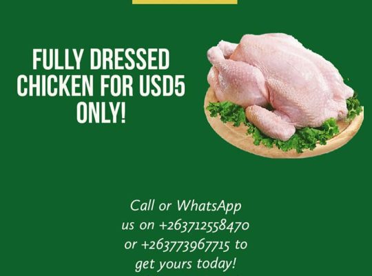 Whole Dressed Chickens