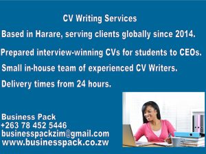 CVs Writing Services