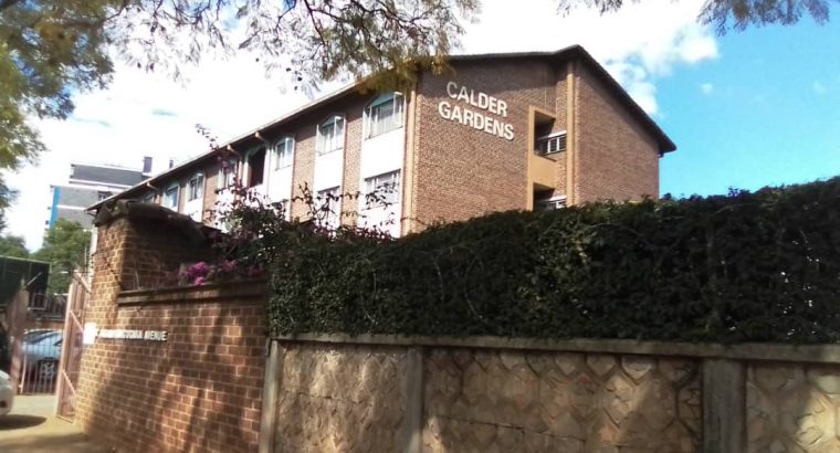 Avenues flat for rent