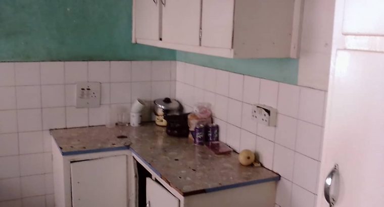 Avenues flat for rent