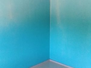 Avenues flat for rent