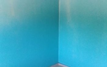 Avenues flat for rent