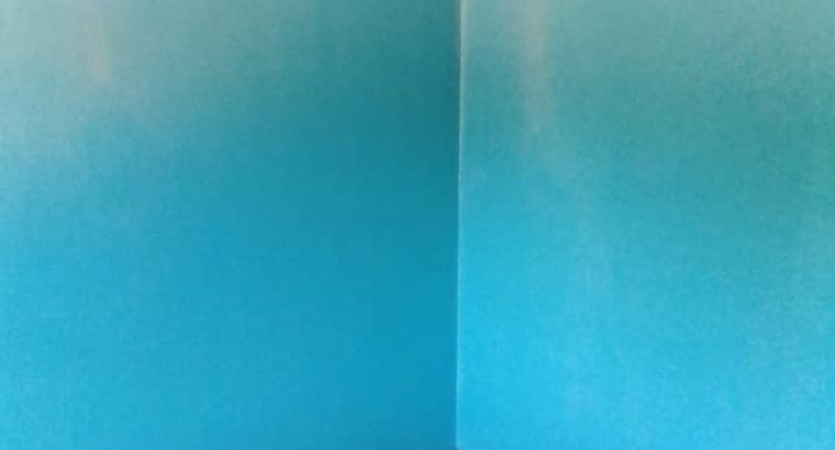 Avenues flat for rent