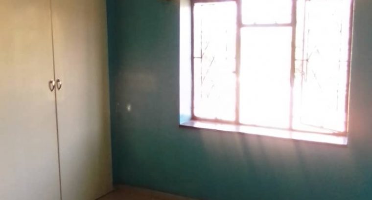 Avenues flat for rent