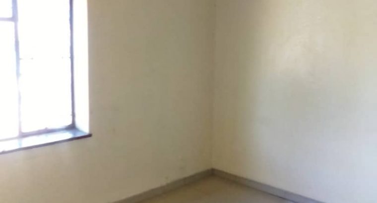 Avenues flat for rent