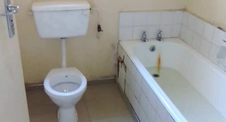 Avenues flat for rent