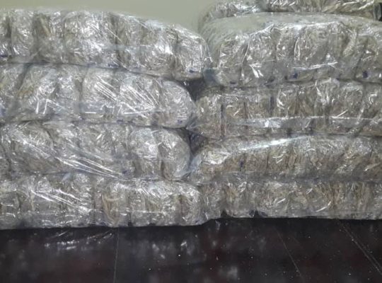 Kapenta Matemba for sale