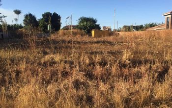 Mt Pleasant heights stand