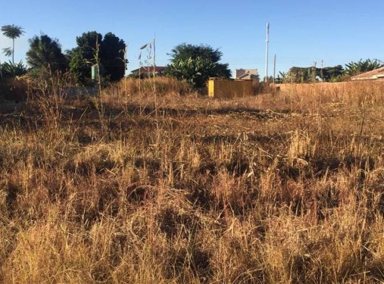 Mt Pleasant heights stand