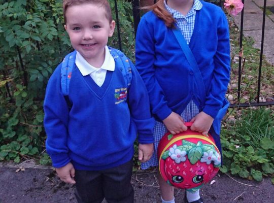 Driver Nanny Housekeeper Guards