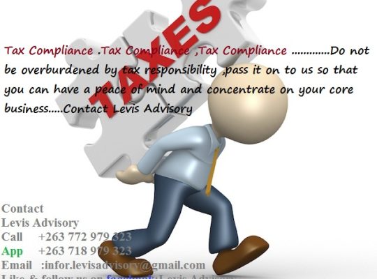 Accounting Tax Advisory Services