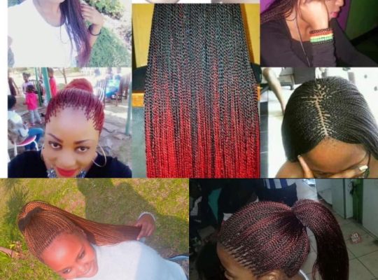 Sangita Braids for sale