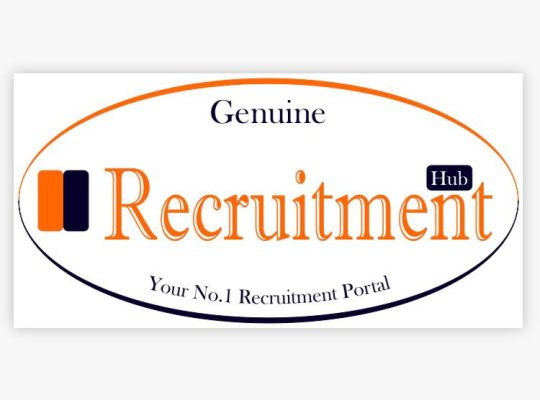 Professional CV Writing