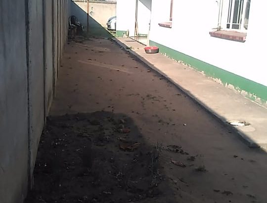 Zimre Park – 2 inside rooms for rent.