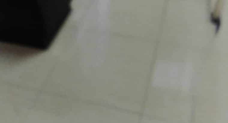 Tatenda Place Apartment to rent