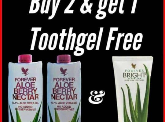 Aloe vera gel and berry nectar