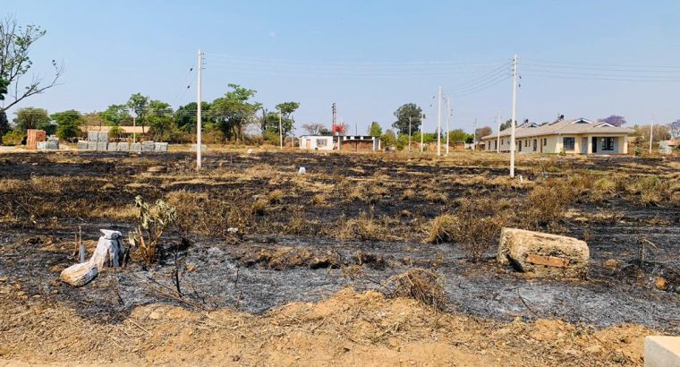 Mainway Mbuya Dorcas & other stands