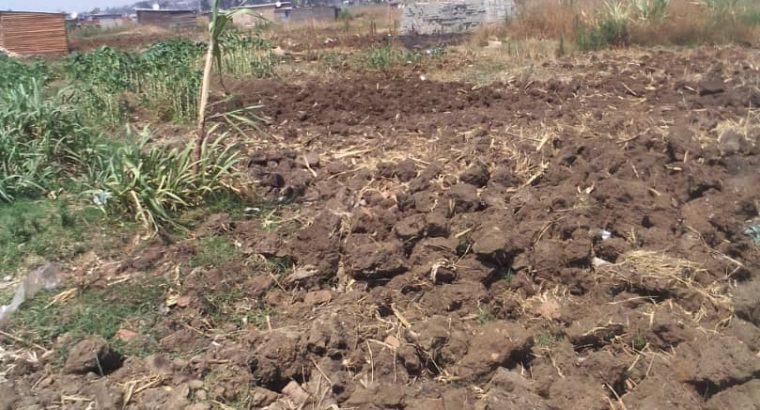 Mainway Mbuya Dorcas & other stands