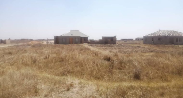 Mainway Mbuya Dorcas & other stands