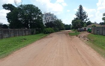 Mainway Mbuya Dorcas & other stands