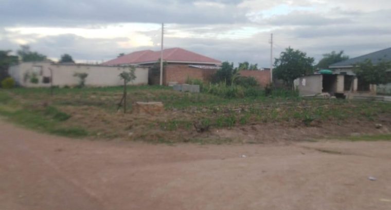 Genuine Stands for sale in Harare